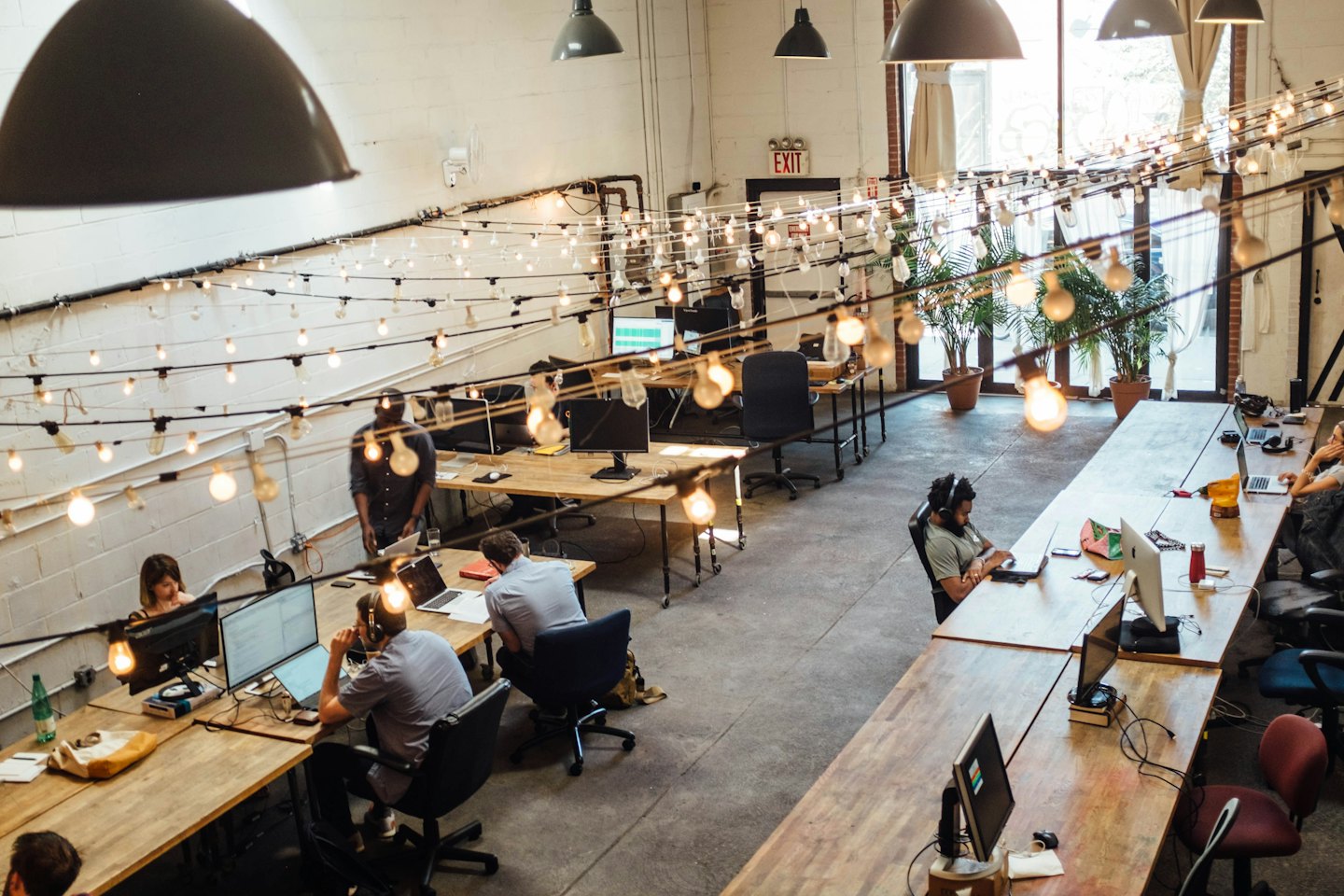 Diverse professionals working on laptops at wooden desks in a modern office.